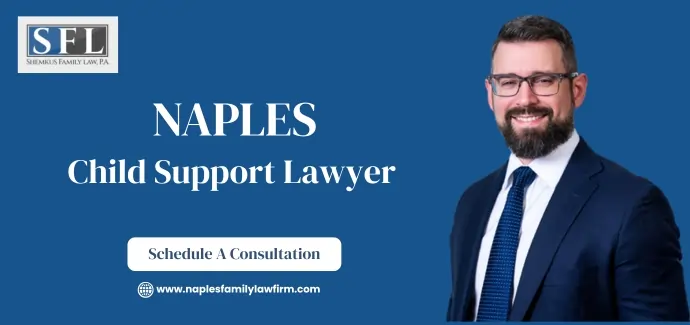 Naples Child Support Lawyer-image