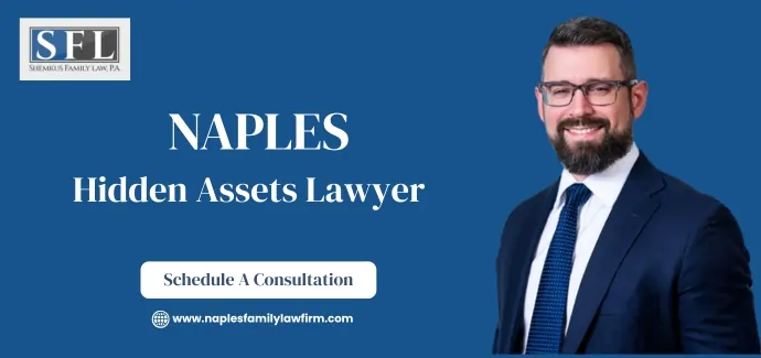Naples Hidden Assets Lawyer-image